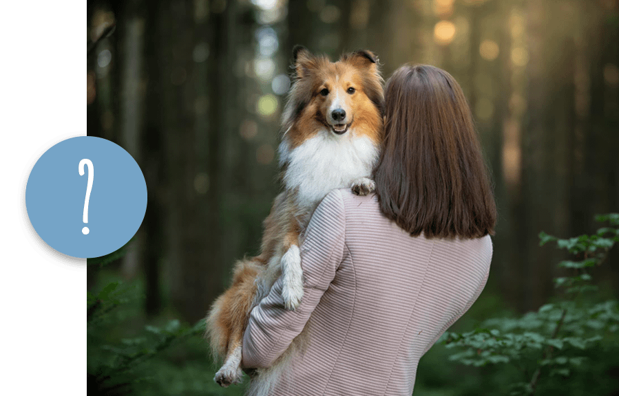 Buche ein einzigartiges Fotoshooting in Vorarlberg für deinen Hund und halte besondere Momente fest! In einer entspannten Atmosphäre bieten wir professionelle Hundefotografie im Freien oder Studio an. Unser Fotoshooting passt sich deinem Tier an und fängt authentische, emotionale Bilder ein, die für immer bleiben. Ob Welpen, Senioren oder die ganze Familie – wir schaffen Hundefotos, die dich begeistern werden.